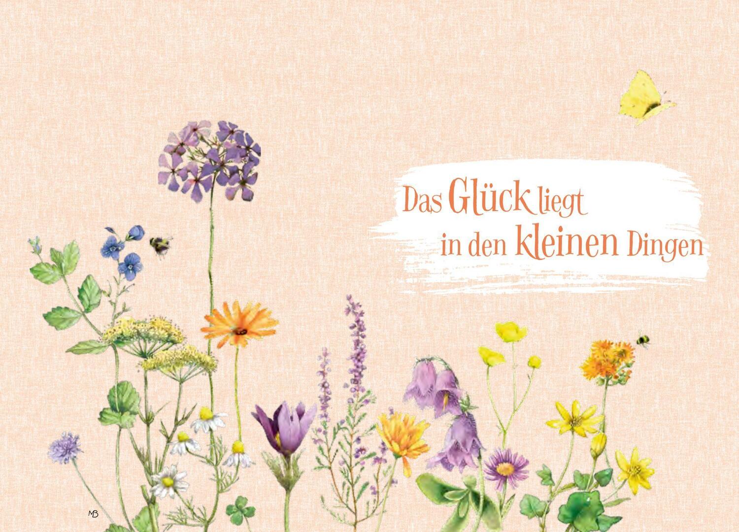 Bild: 9783649646891 | Sonnenschein, Freiheit und eine kleine Blume braucht man | Schaefer