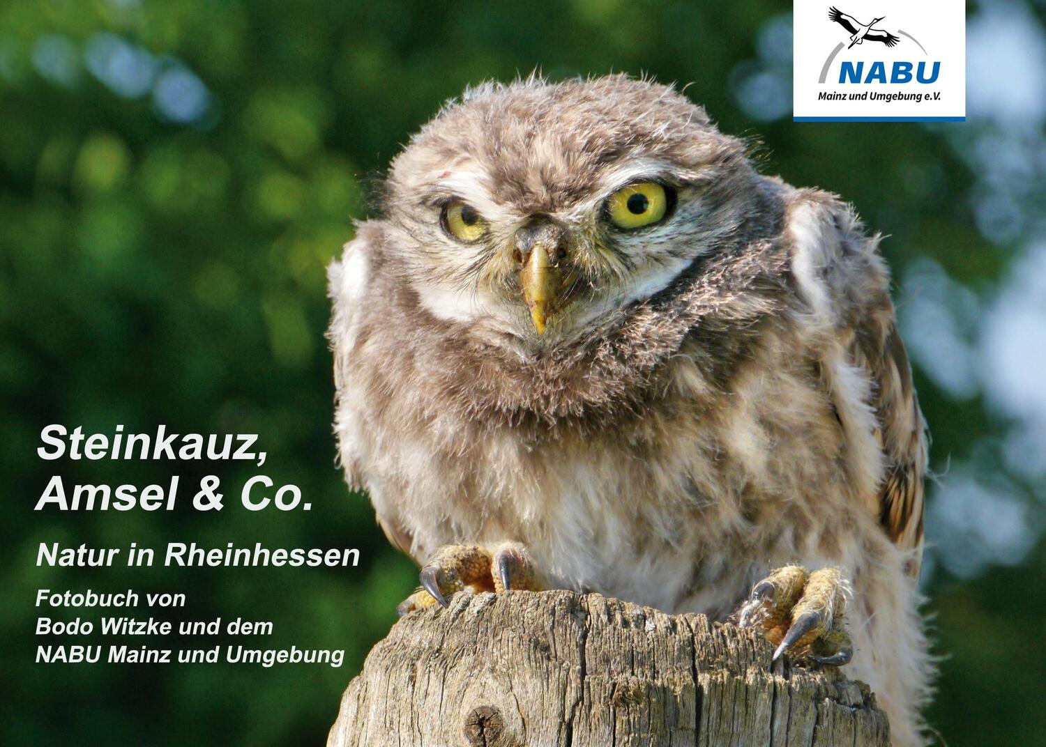 Cover: 9783754318249 | Steinkauz, Amsel &amp; Co. | Natur in Rheinhessen | Bodo Witzke | Buch