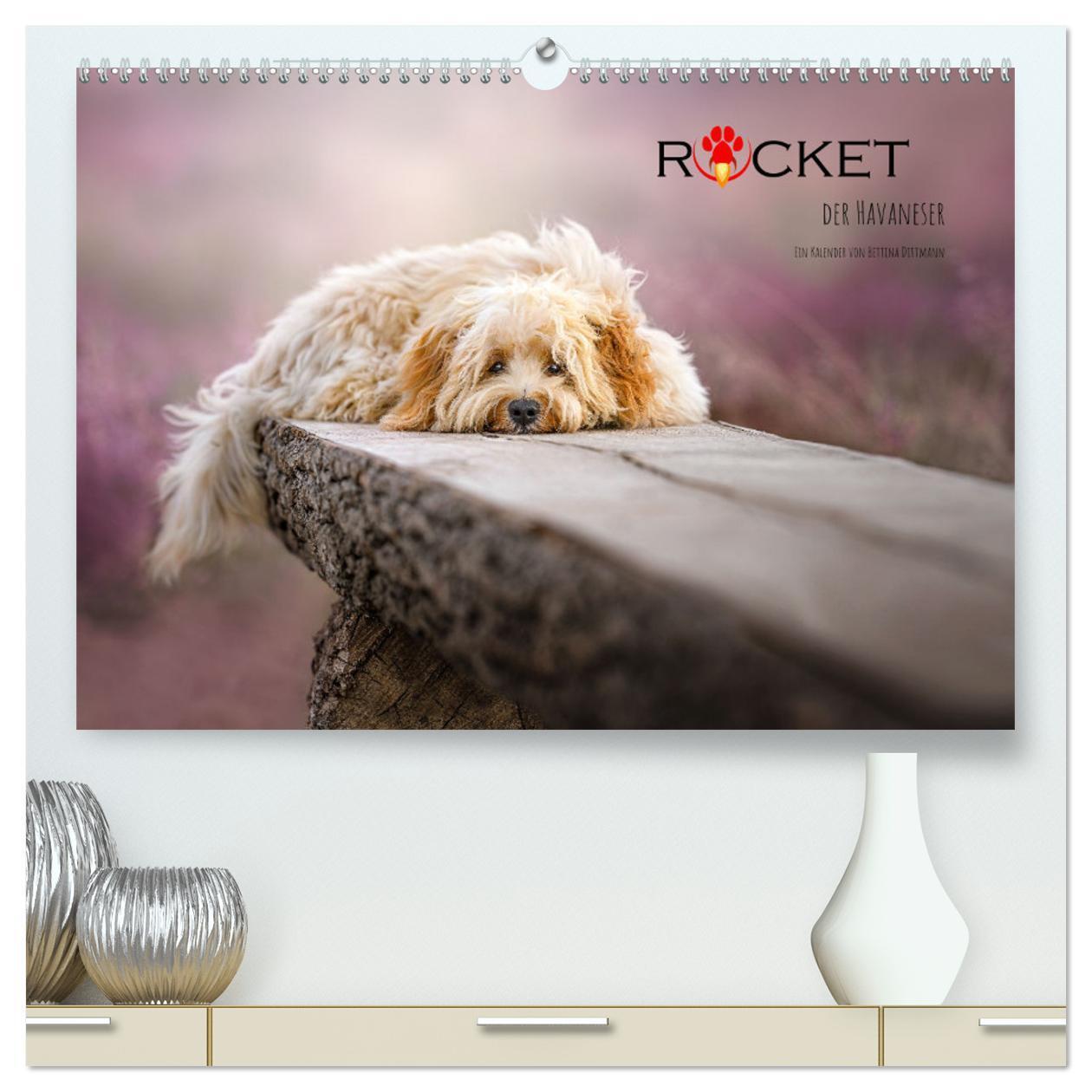 Cover: 9783435027781 | Rocket der Havaneser (hochwertiger Premium Wandkalender 2025 DIN A2...