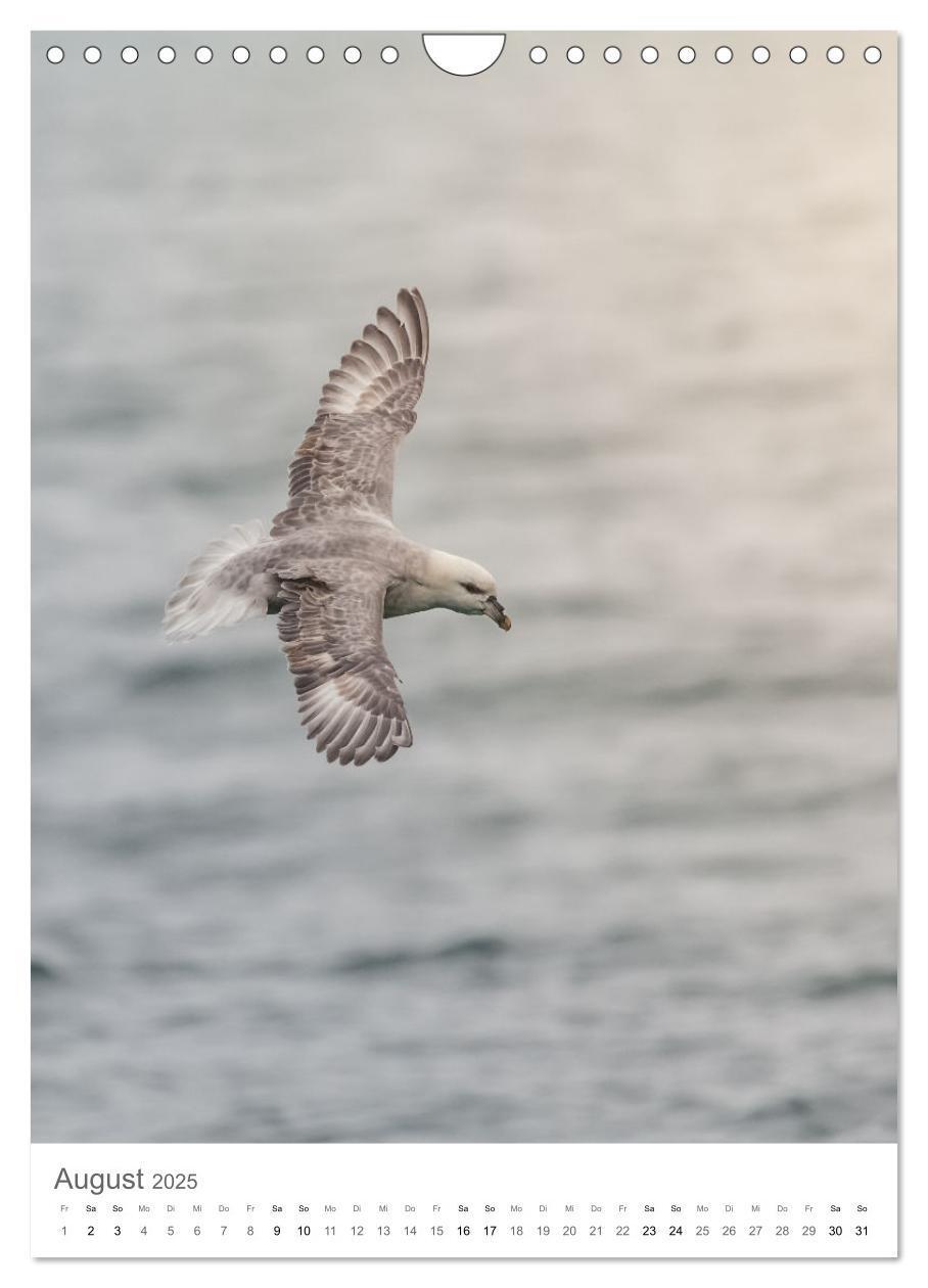 Bild: 9783435844821 | Die Arktis - Naturfotografien aus Spitzbergen (Wandkalender 2025...