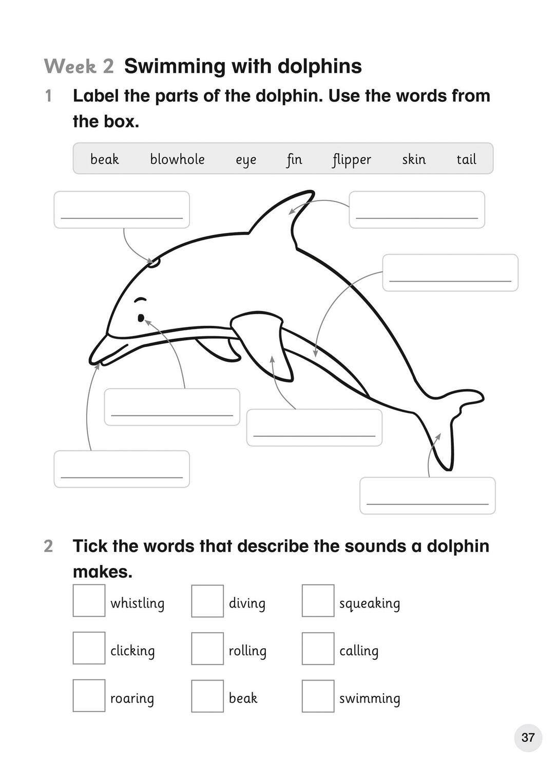 Bild: 9780008369187 | Explore English Student's Coursebook: Stage 3 | Sandy Gibbs | Buch