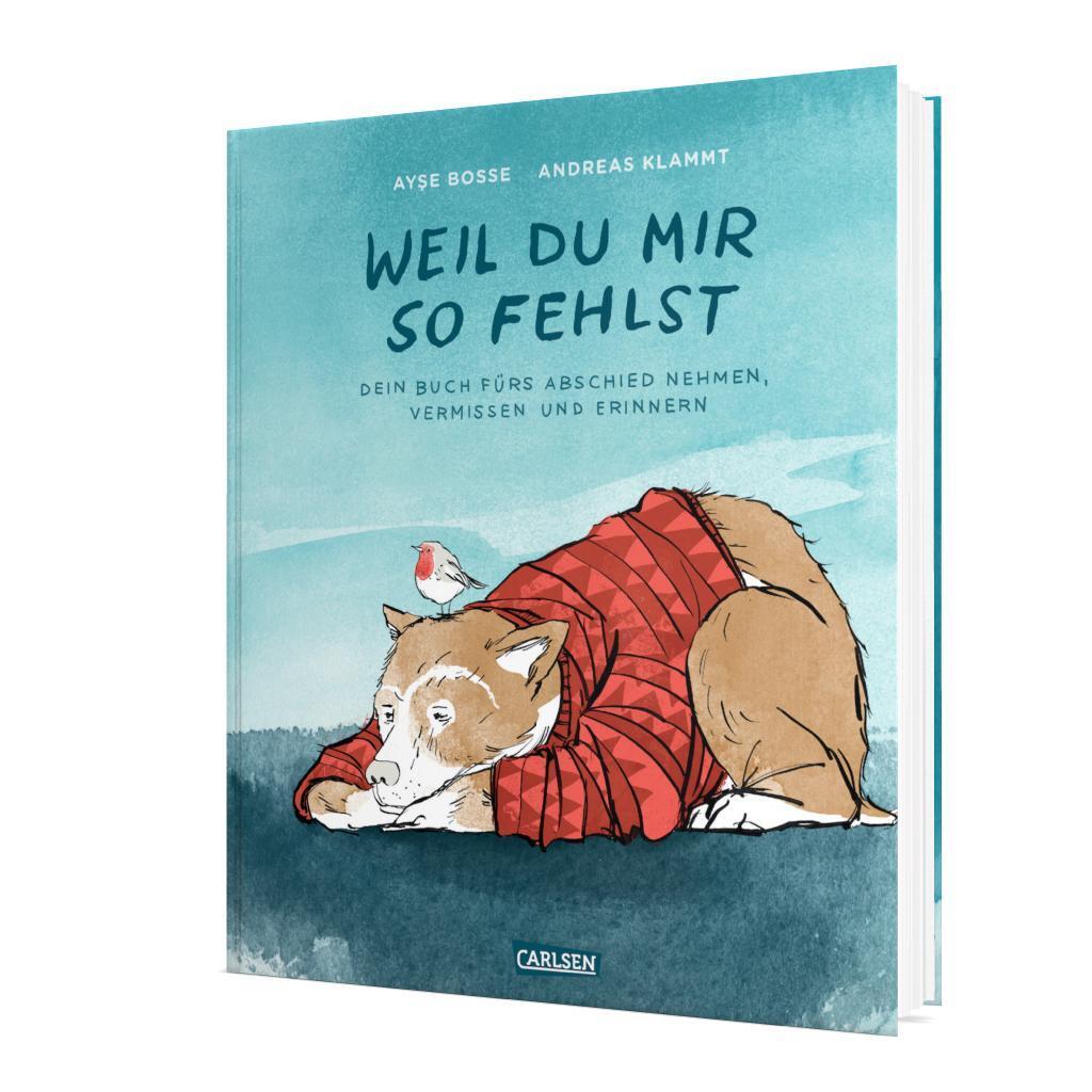 Bild: 9783551518767 | Weil du mir so fehlst | mit einem Lied von BOSSE zum download | Buch