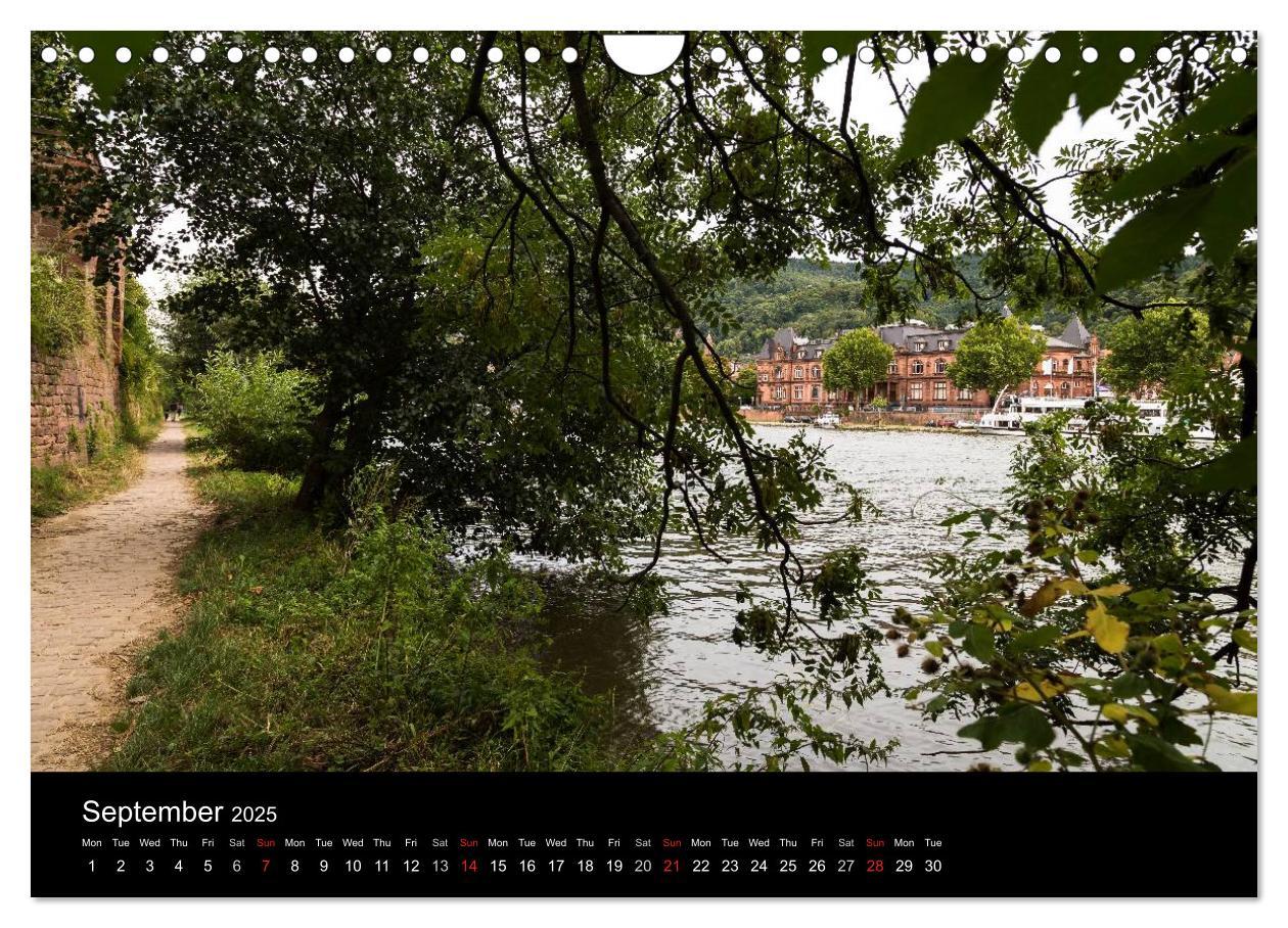 Bild: 9781325958306 | Heidelberg - Views of a City (Wall Calendar 2025 DIN A4 landscape),...