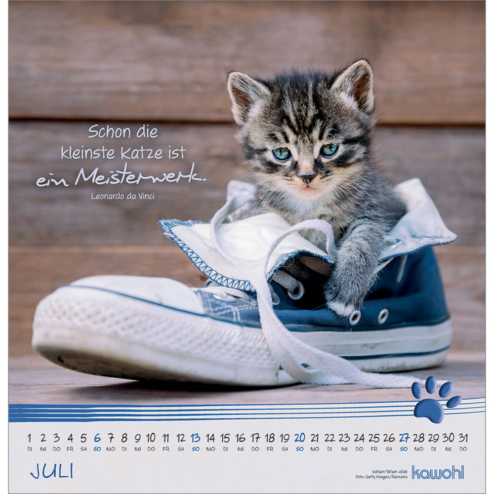 Bild: 9783754829851 | Kleine Katzen-Tatzen 2025 | Kalender | Spiralbindung. Spiralbindung