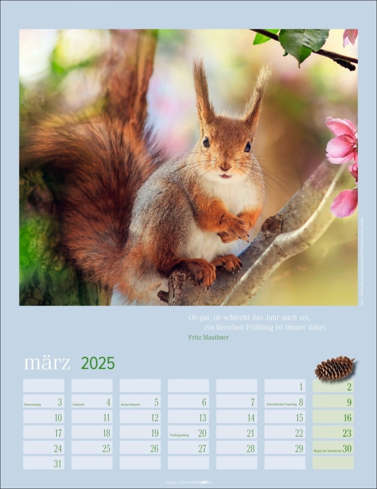 Bild: 9783839900758 | Eichhörnchen Kalender 2025 | Kalender | Spiralbindung | 14 S. | 2025