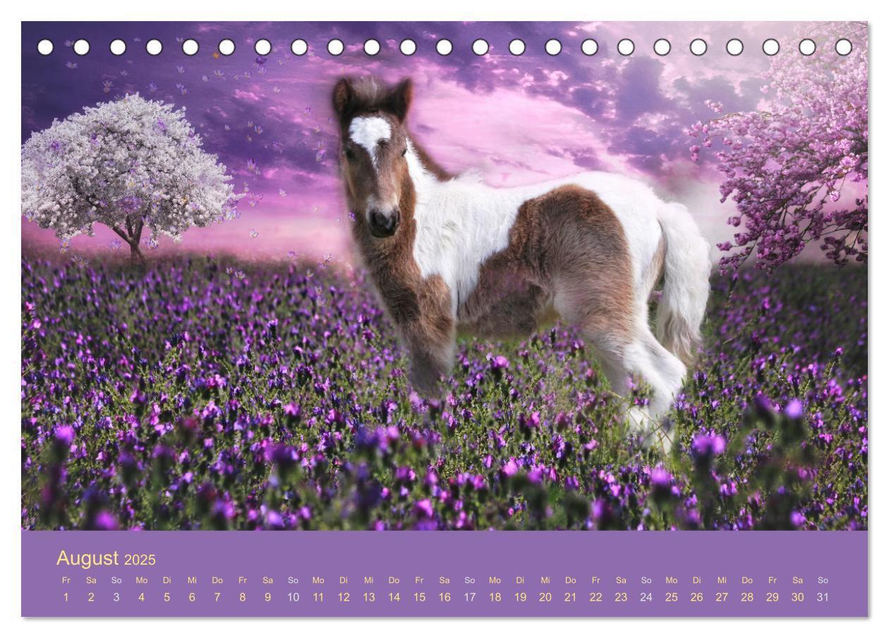 Bild: 9783435061044 | Von der Magie der Pferde (Tischkalender 2025 DIN A5 quer), CALVENDO...