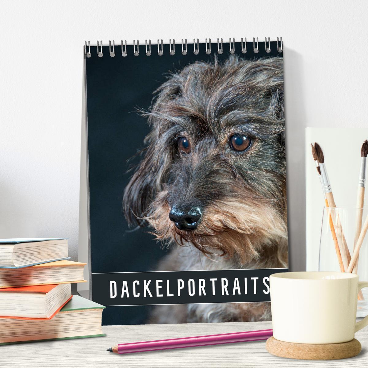 Bild: 9783435972951 | Dackelportraits (Tischkalender 2025 DIN A5 hoch), CALVENDO...