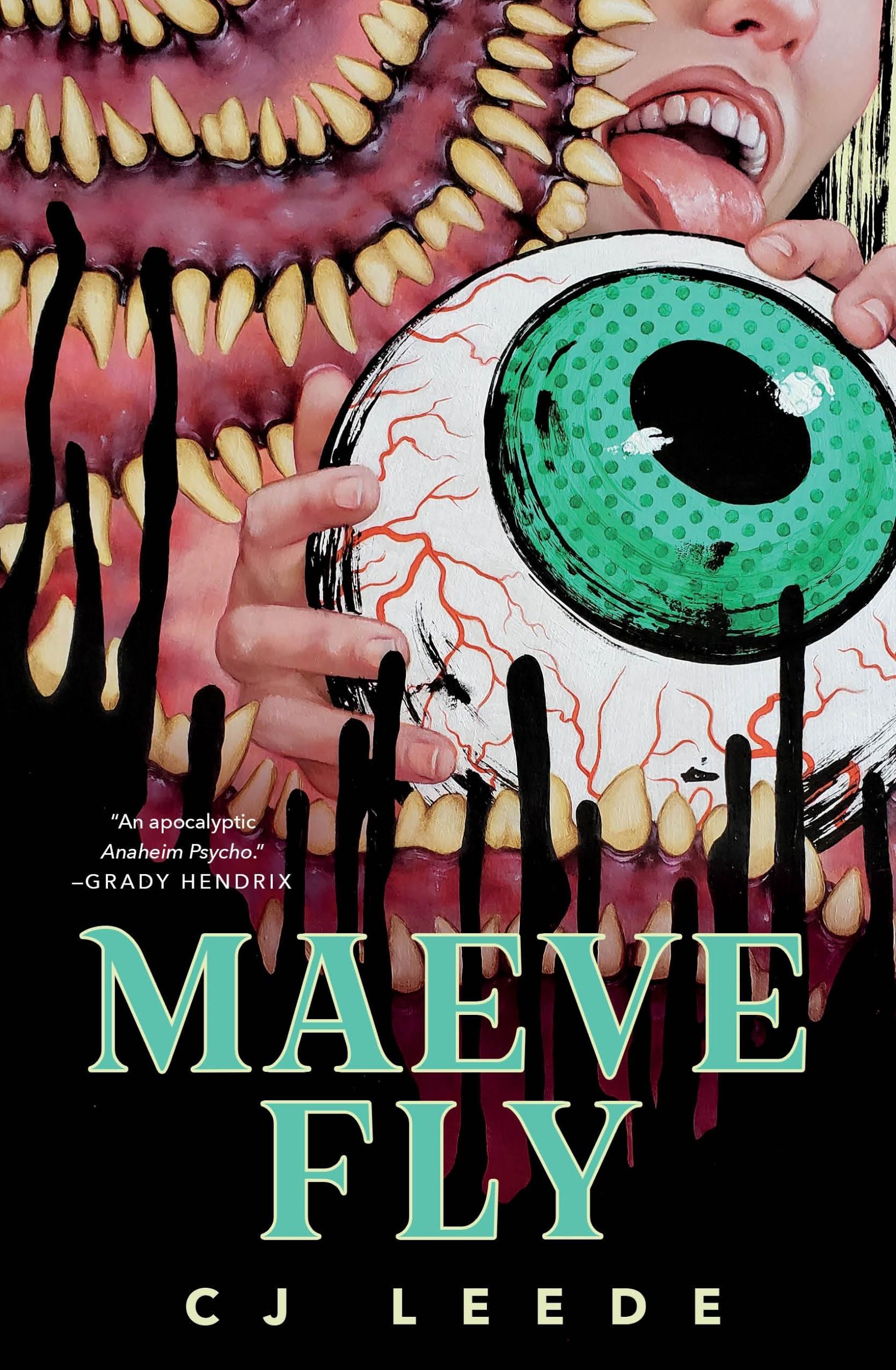 Autor: 9781250857859 | Maeve Fly | Cj Leede | Buch | Gebunden | Englisch | 2023