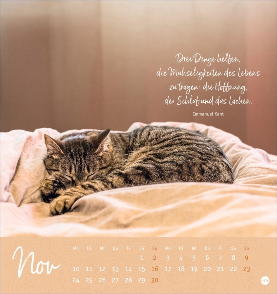 Bild: 9783756408603 | Augenblicke voller Zuversicht Postkartenkalender 2025 | Kalender