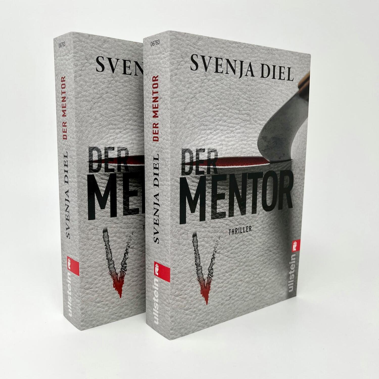 Bild: 9783548067636 | Der Mentor | Svenja Diel | Taschenbuch | 480 S. | Deutsch | 2023