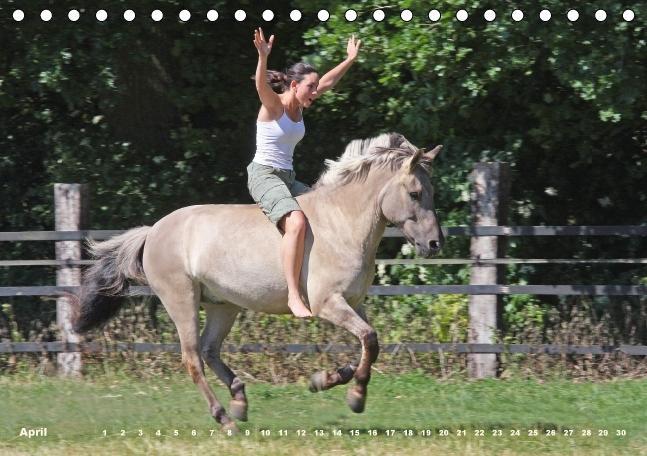 Bild: 9783660482171 | Dülmener Wildpferde - Gefährdete Nutztierrasse (Tischkalender...