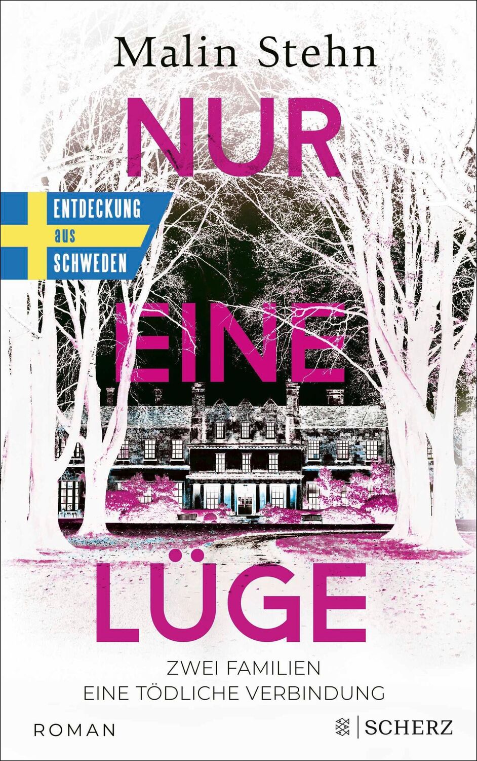 Cover: 9783651001176 | Nur eine Lüge - Zwei Familien, eine tödliche Verbindung | Malin Stehn