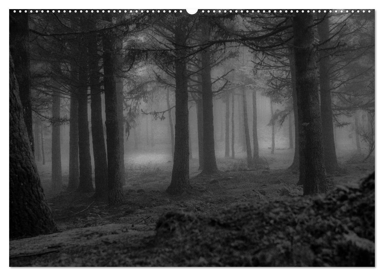 Bild: 9783435783915 | Stille Momente in Schwarz-Weiss (hochwertiger Premium Wandkalender...