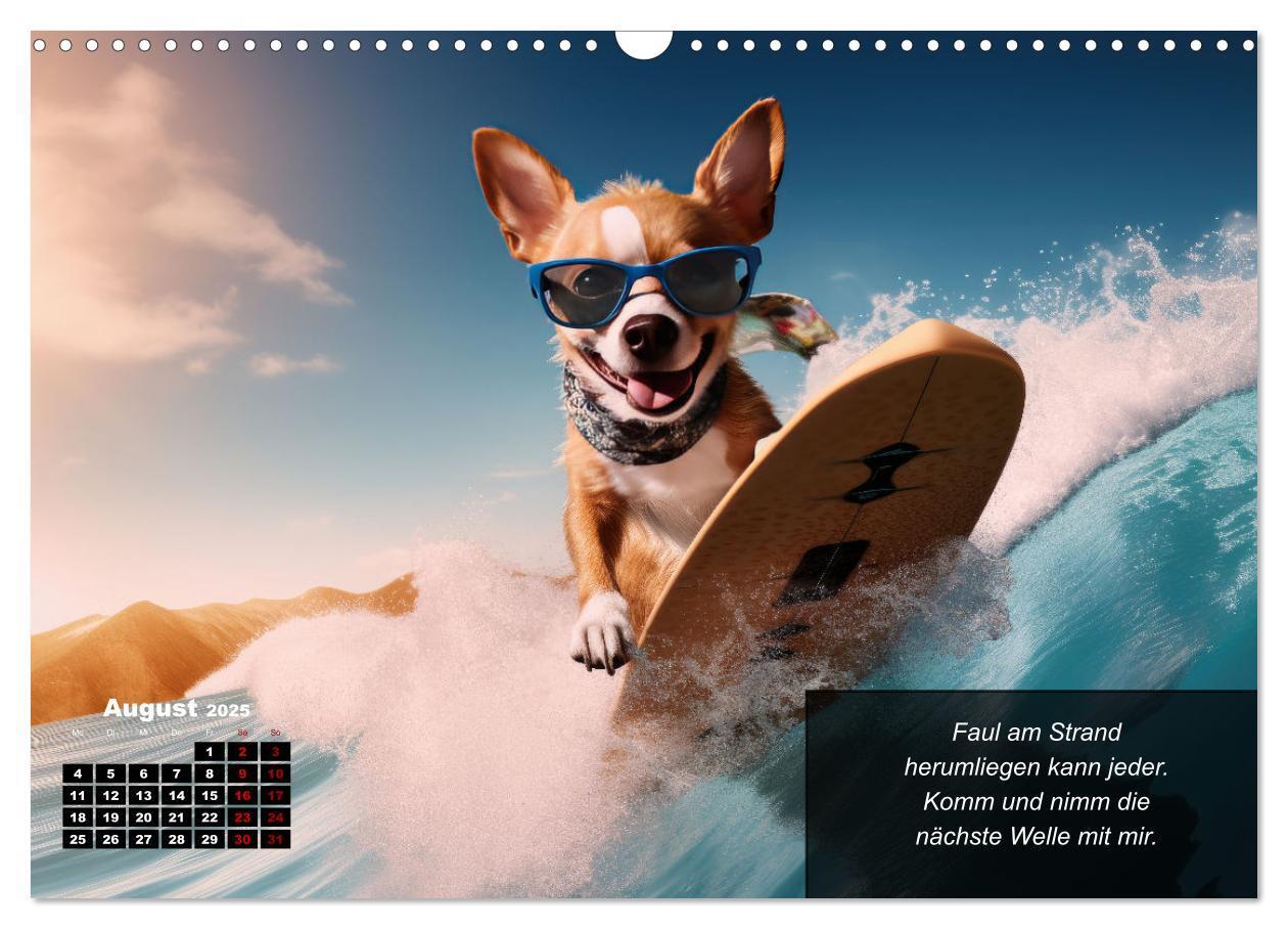 Bild: 9783457129425 | Lustige Chihuahua-Momente (Wandkalender 2025 DIN A3 quer), CALVENDO...