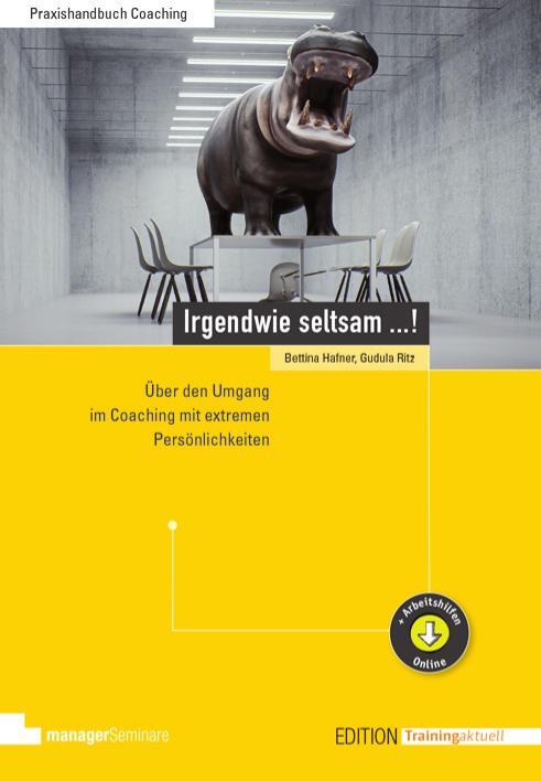 Cover: 9783958910737 | Irgendwie seltsam ...! | Bettina Hafner (u. a.) | Taschenbuch | 304 S.