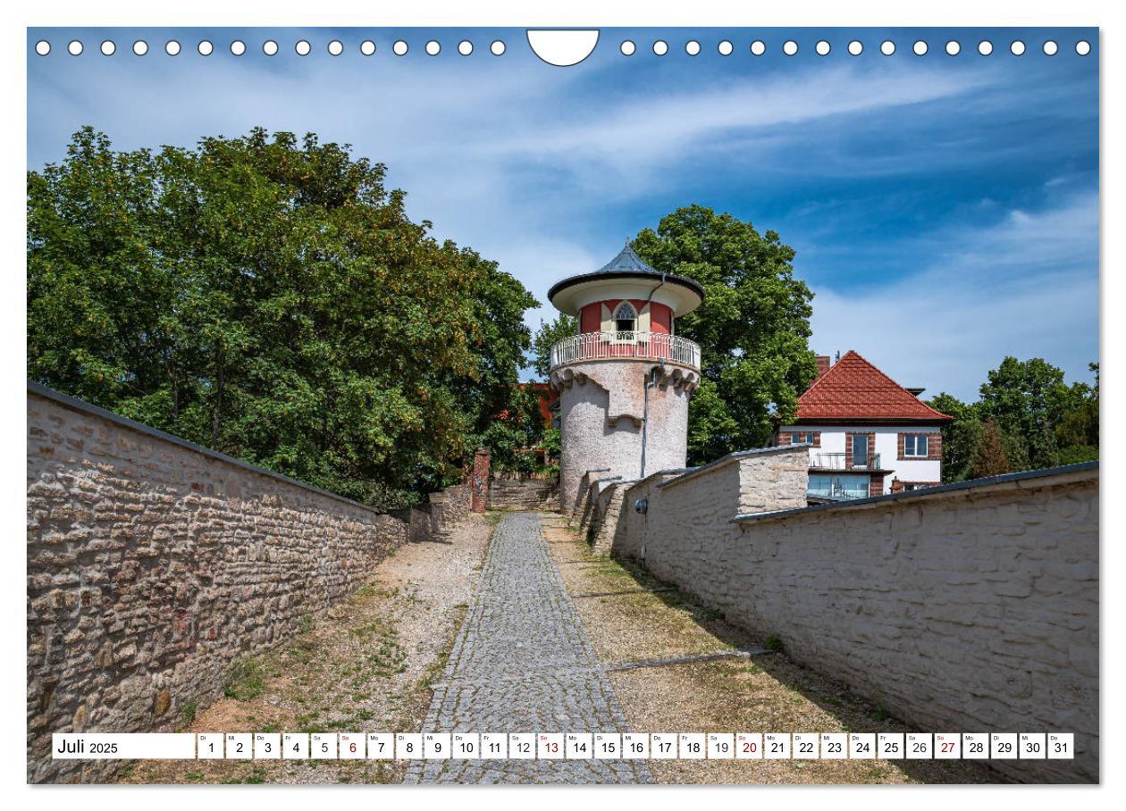 Bild: 9783435225545 | Rosenstadt Sangerhausen (Wandkalender 2025 DIN A4 quer), CALVENDO...