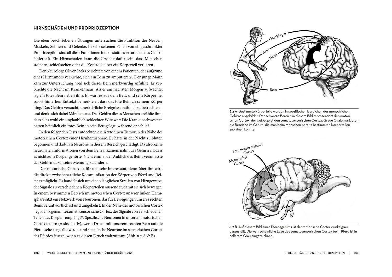 Bild: 9783440172797 | Horse Brain, Human Brain | Janet L. Jones | Taschenbuch | Deutsch