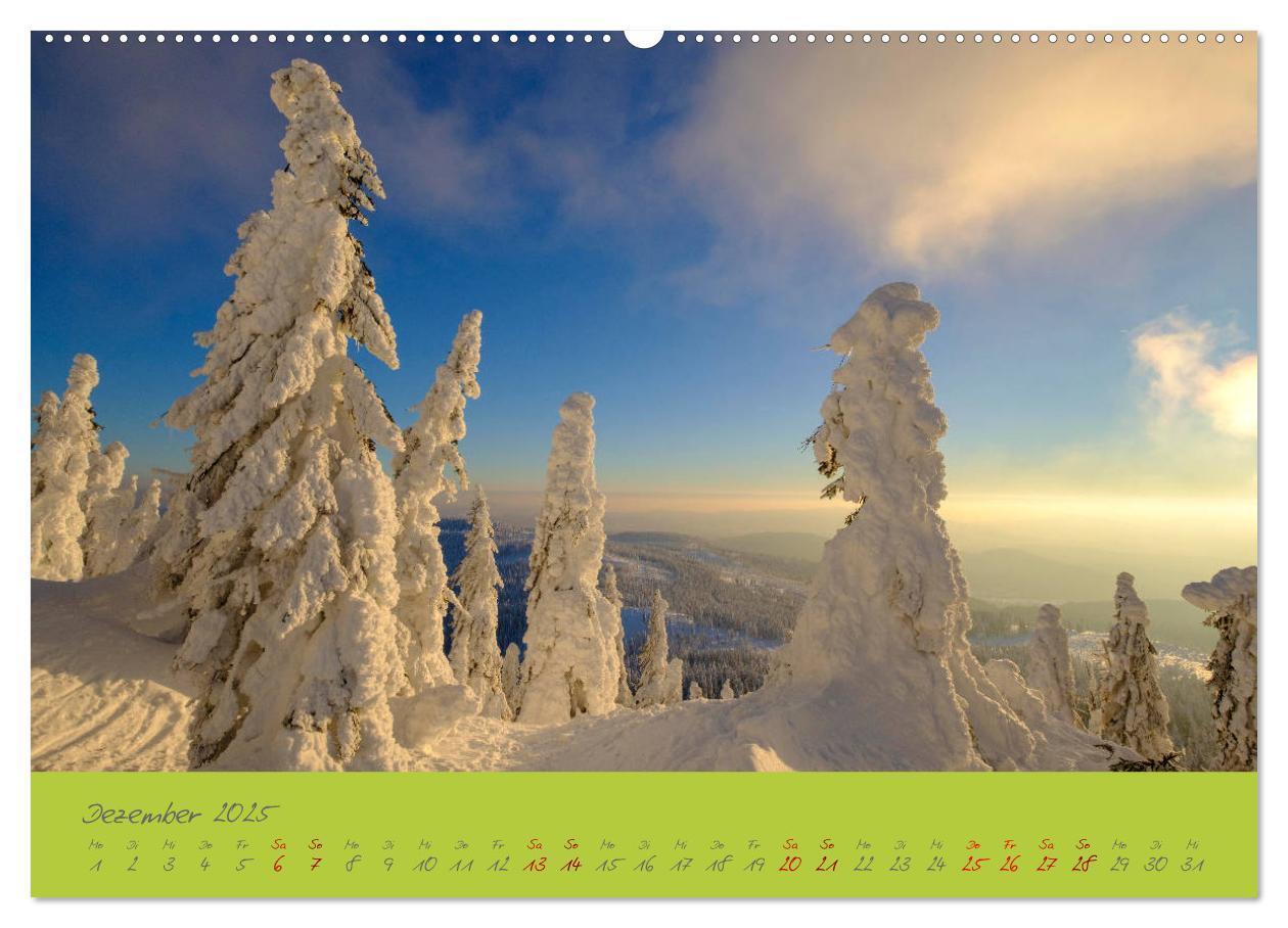 Bild: 9783435193530 | Der Bayerische Wald (Wandkalender 2025 DIN A2 quer), CALVENDO...