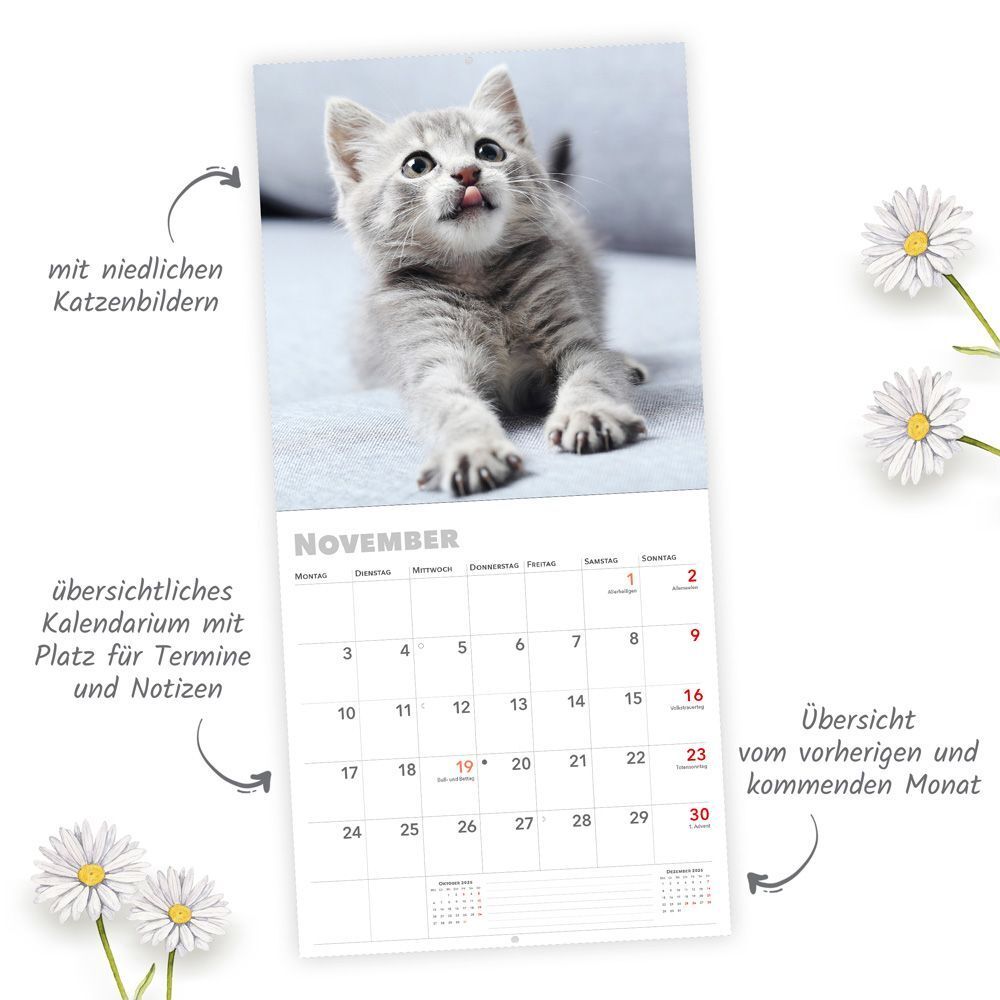 Bild: 9783988021892 | Trötsch Broschürenkalender Katzen 2025 | Wandplaner | Co.KG | Kalender