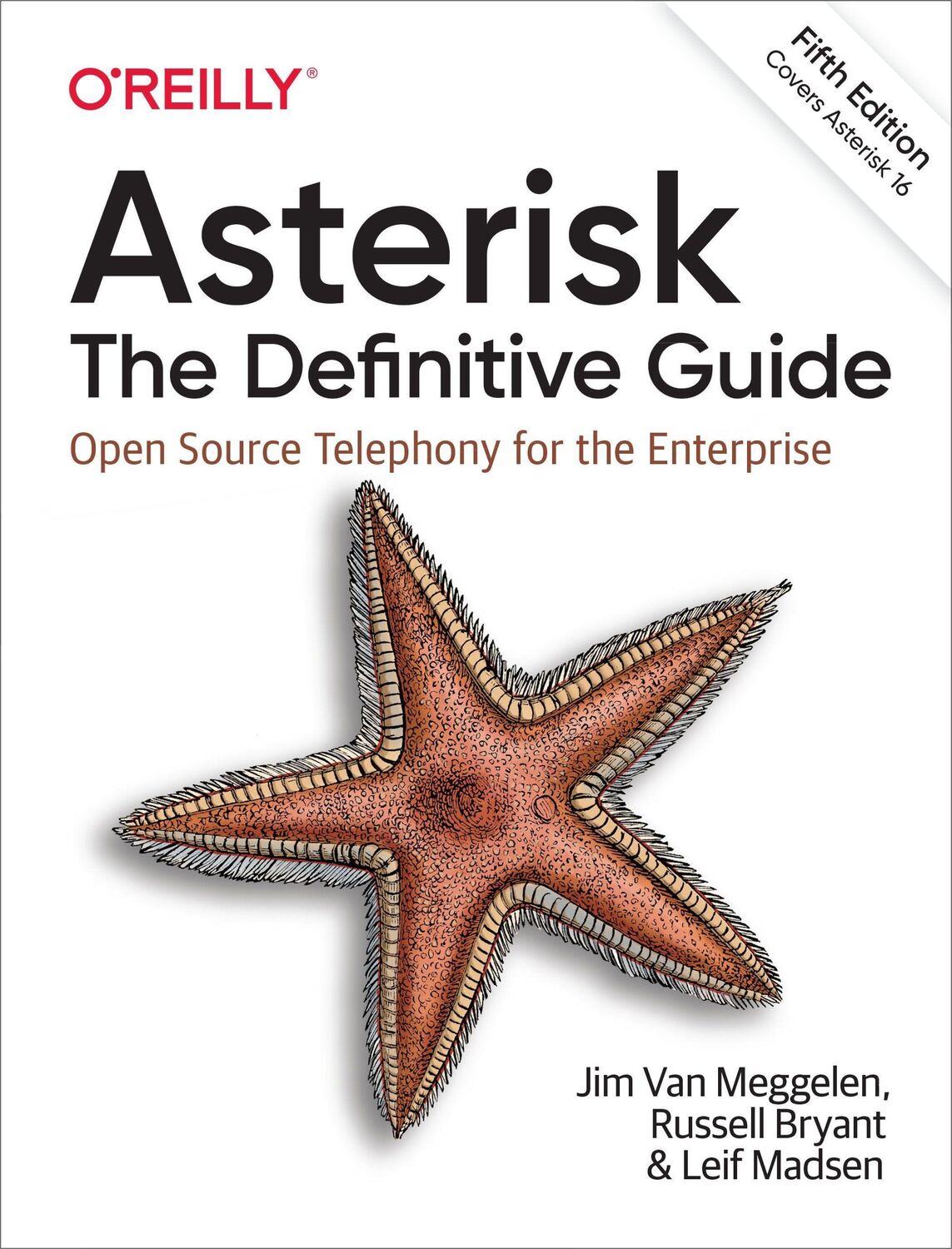 Cover: 9781492031604 | Asterisk: The Definitive Guide | Jim Van Meggelen (u. a.) | Buch