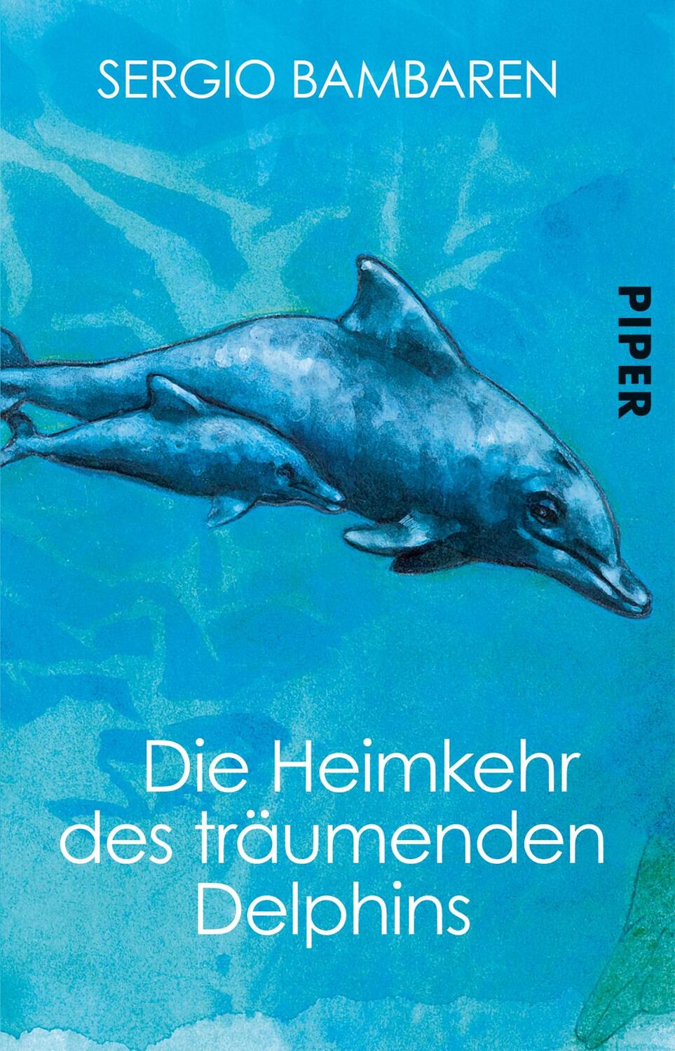 Cover: 9783492272131 | Die Heimkehr des träumenden Delphins | Sergio Bambaren | Taschenbuch