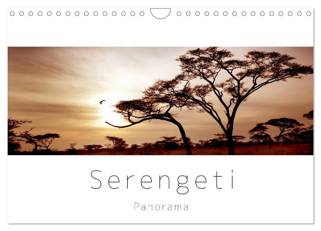 Cover: 9783435687749 | Serengeti Panorama (Wandkalender 2025 DIN A4 quer), CALVENDO...