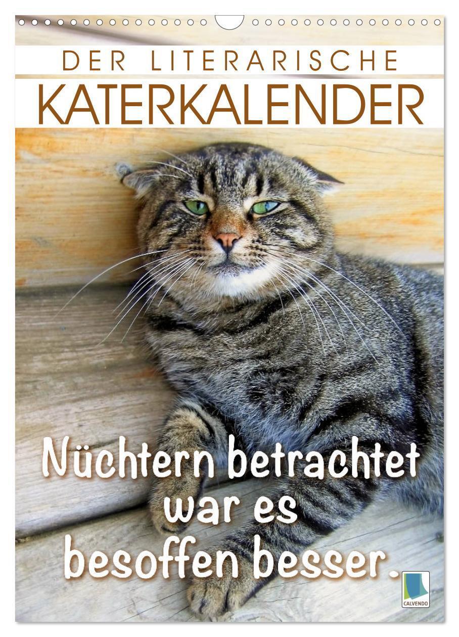 Cover: 9783435940172 | Der literarische Katerkalender (Wandkalender 2025 DIN A3 hoch),...