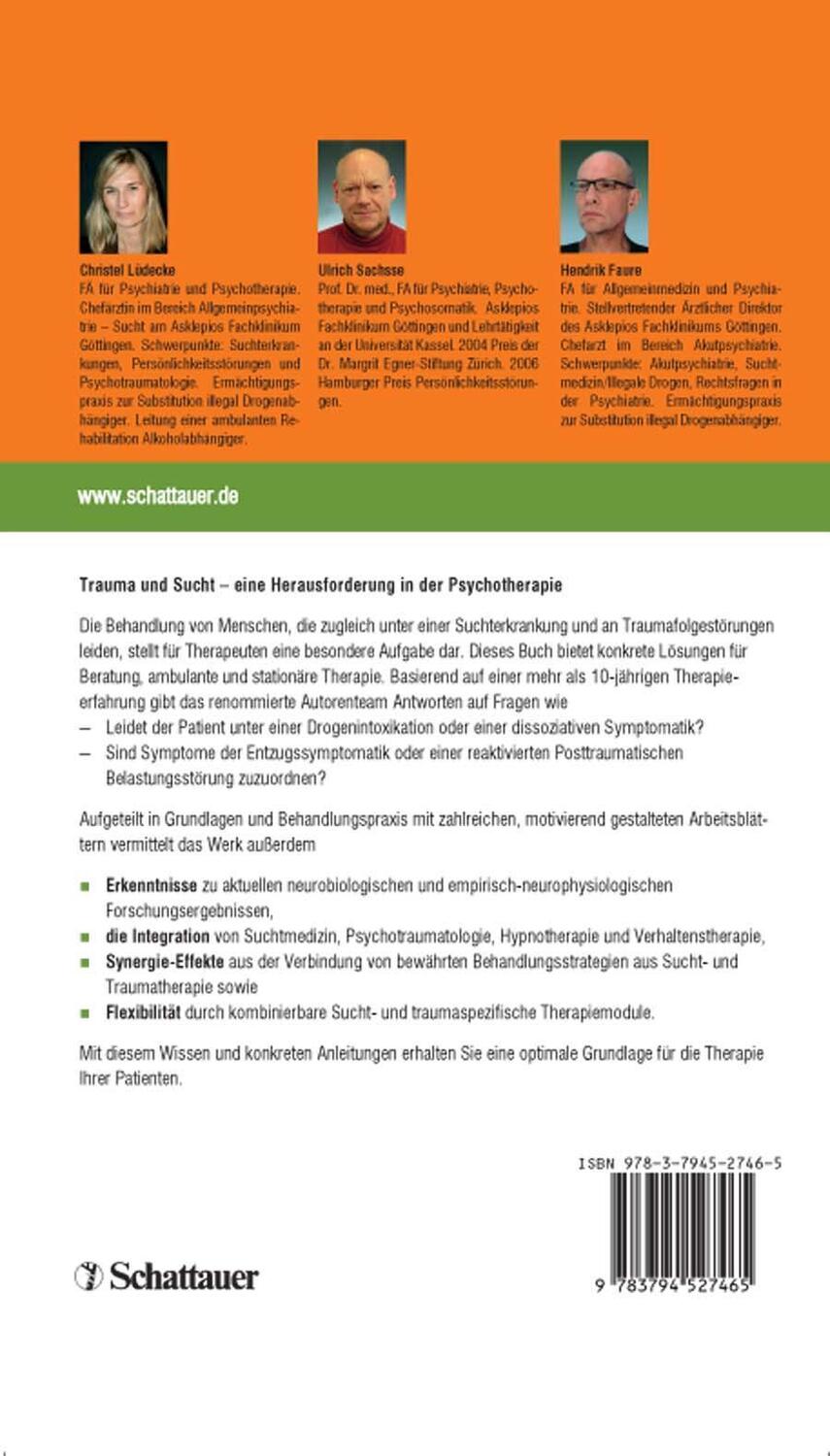 Rückseite: 9783794527465 | Sucht - Bindung - Trauma | Christel Lüdecke (u. a.) | Taschenbuch