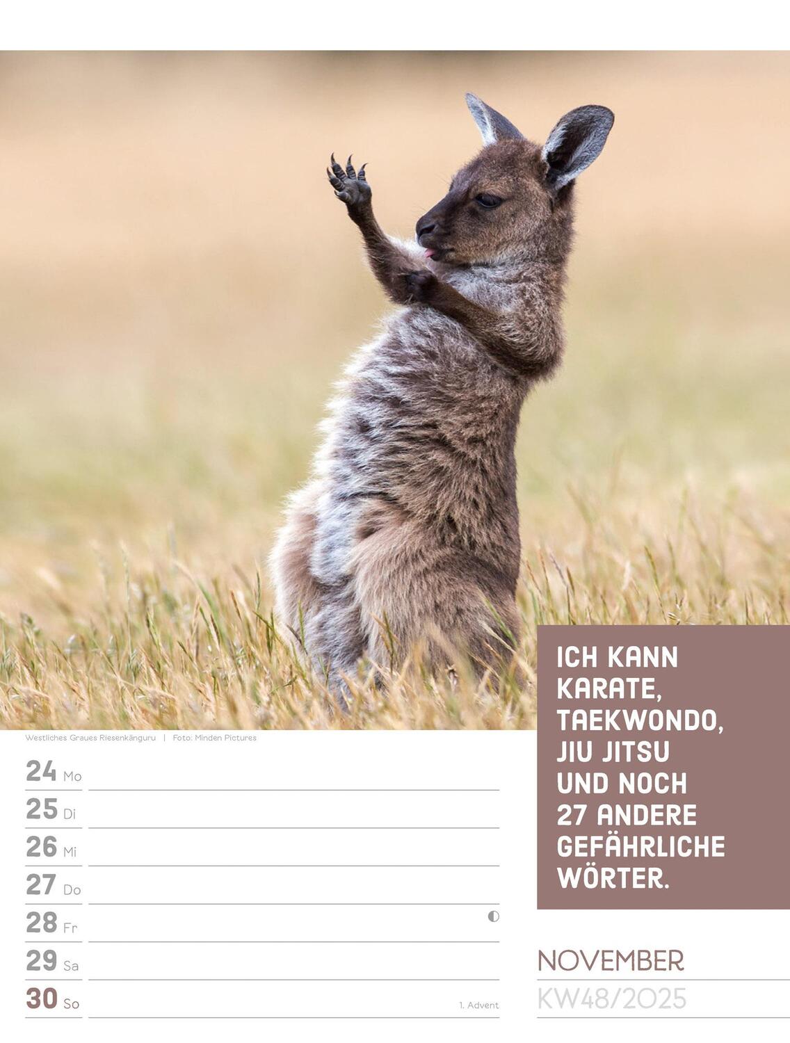 Bild: 9783838425962 | Tierisch! Sprüchekalender - Wochenplaner Kalender 2025 | Kunstverlag