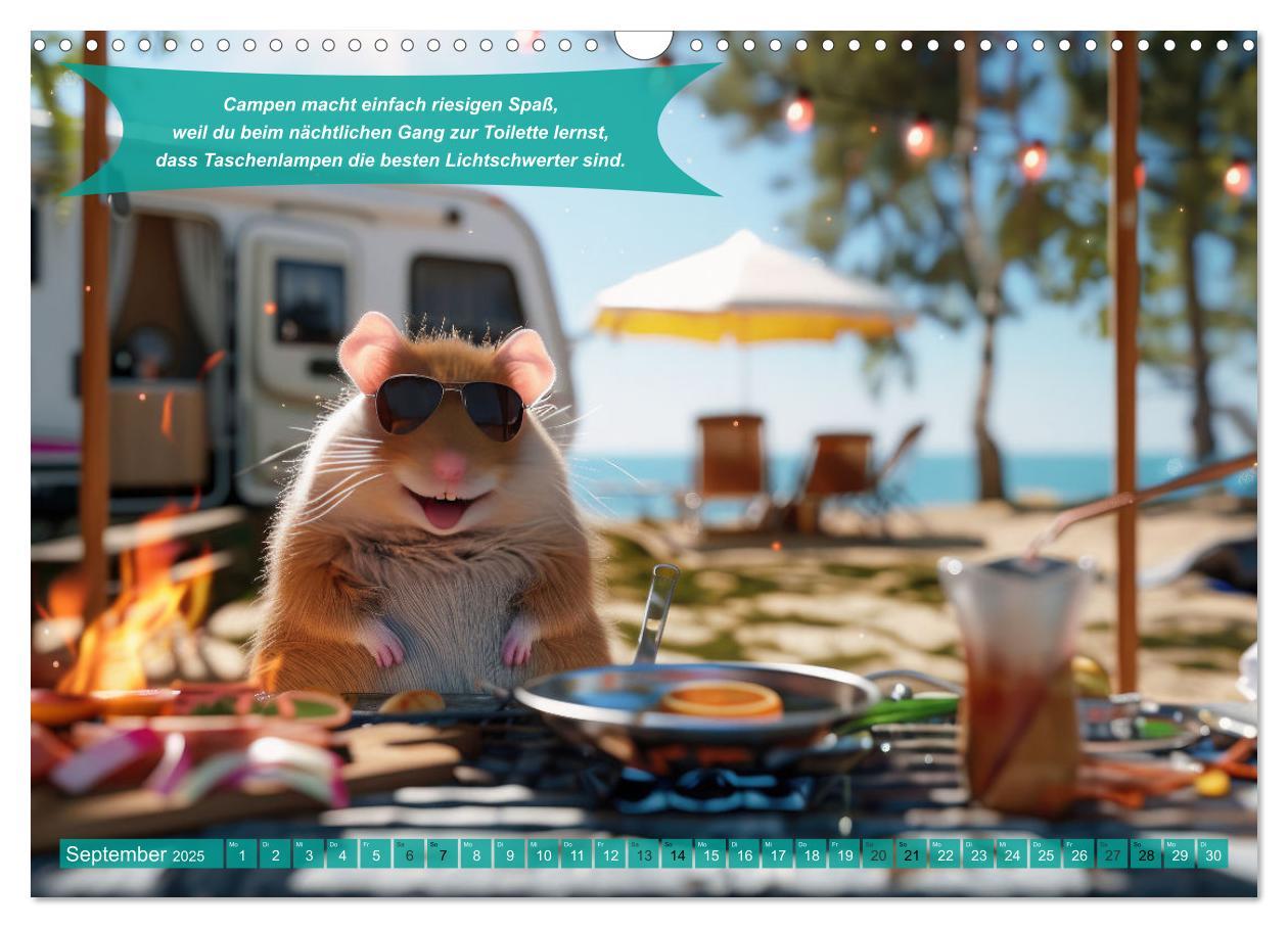 Bild: 9783457181775 | Der tierisch lustige Camping-Kalender (Wandkalender 2025 DIN A3...