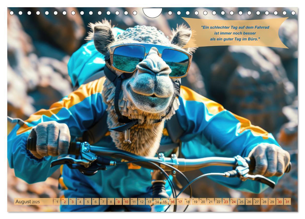 Bild: 9783457154311 | Der tierisch lustige Fahrradkalender (Wandkalender 2025 DIN A4...