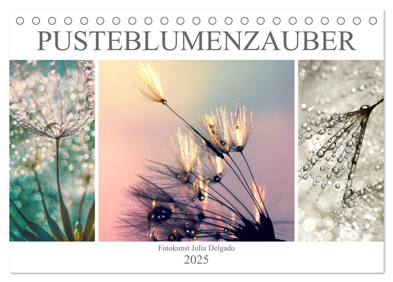 Cover: 9783435291175 | PusteblumenZauber (Tischkalender 2025 DIN A5 quer), CALVENDO...