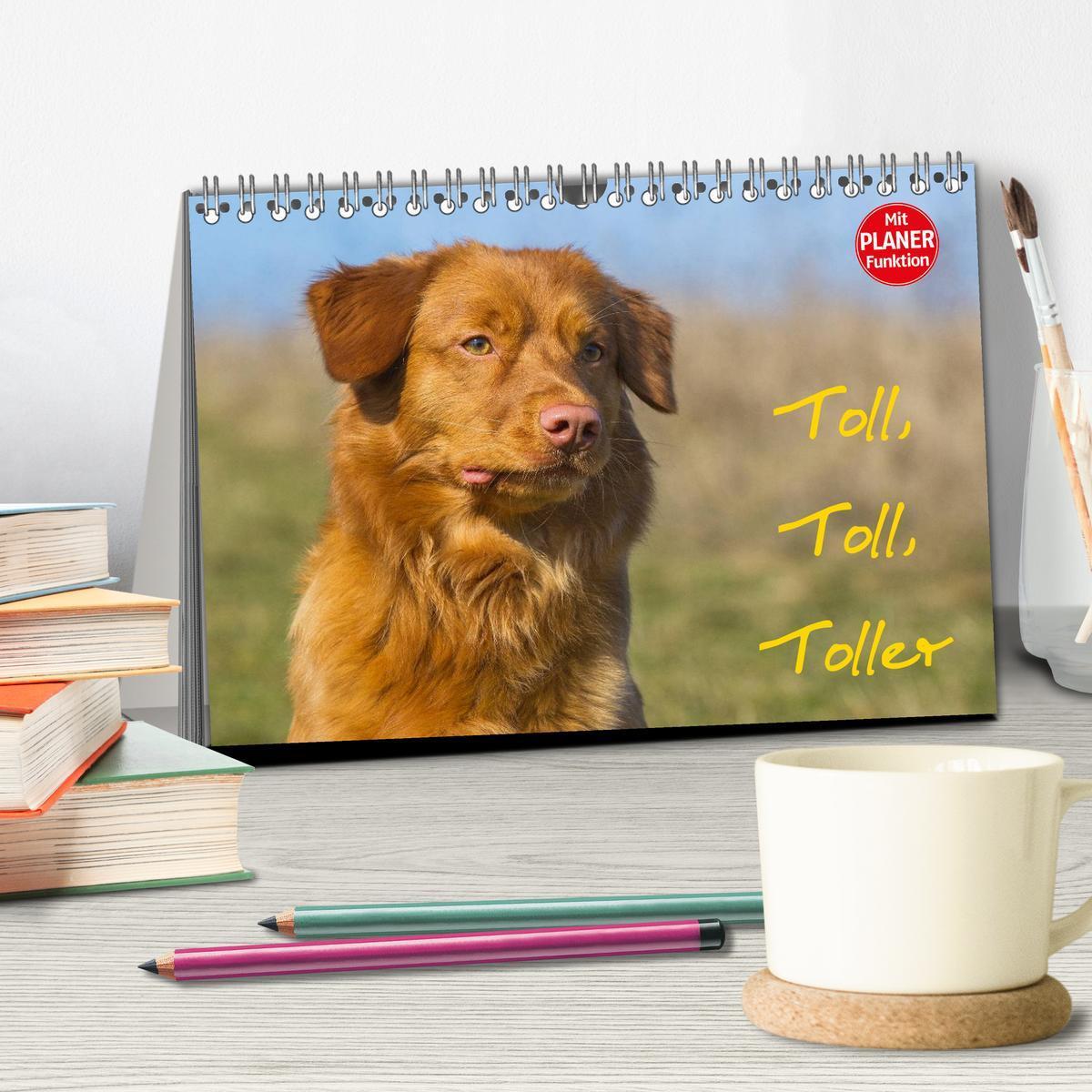 Bild: 9783435544127 | Toll, toll, Toller (Tischkalender 2025 DIN A5 quer), CALVENDO...