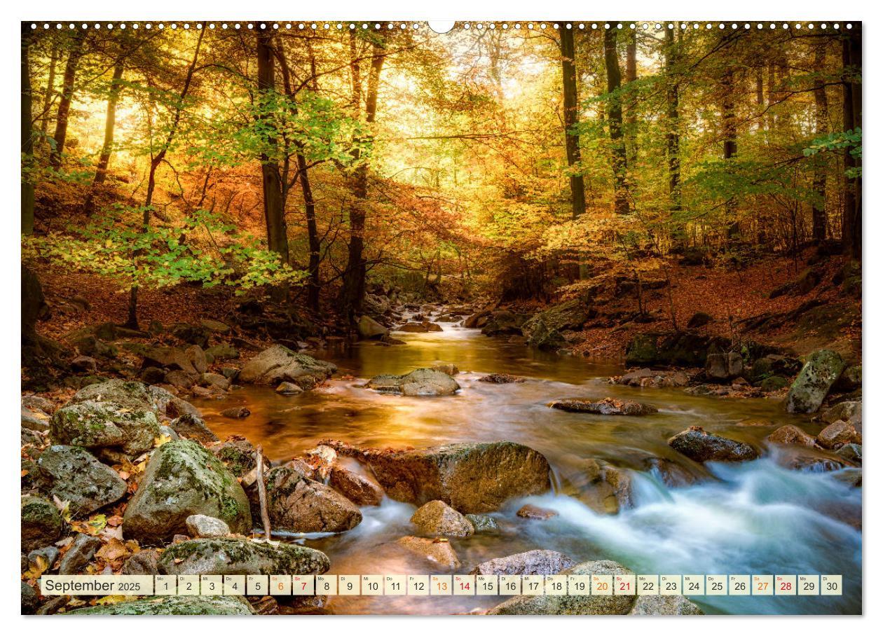 Bild: 9783435083756 | Traumwege entdecken (Wandkalender 2025 DIN A2 quer), CALVENDO...