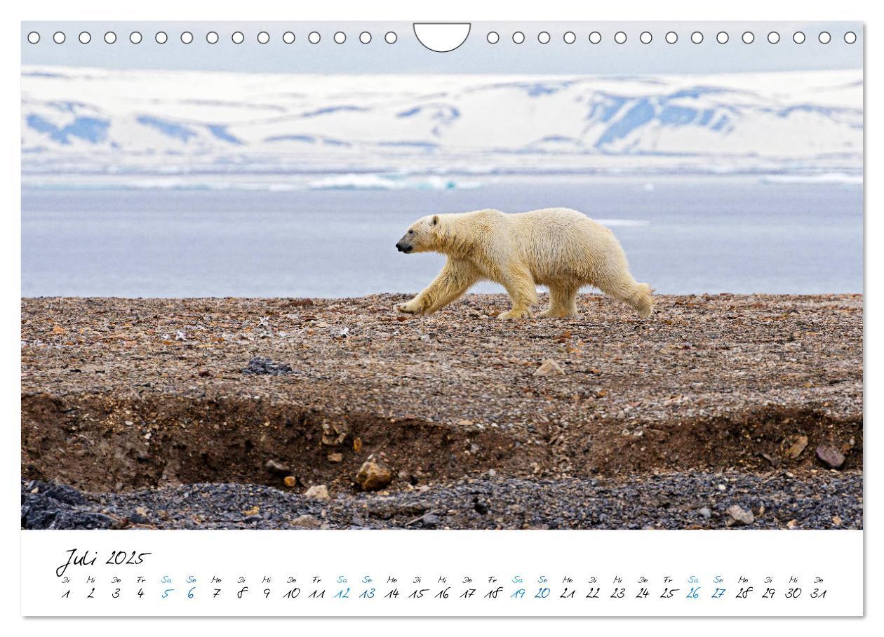 Bild: 9783435182633 | 78° Nord - Arktische Momente in Svalbard (Wandkalender 2025 DIN A4...