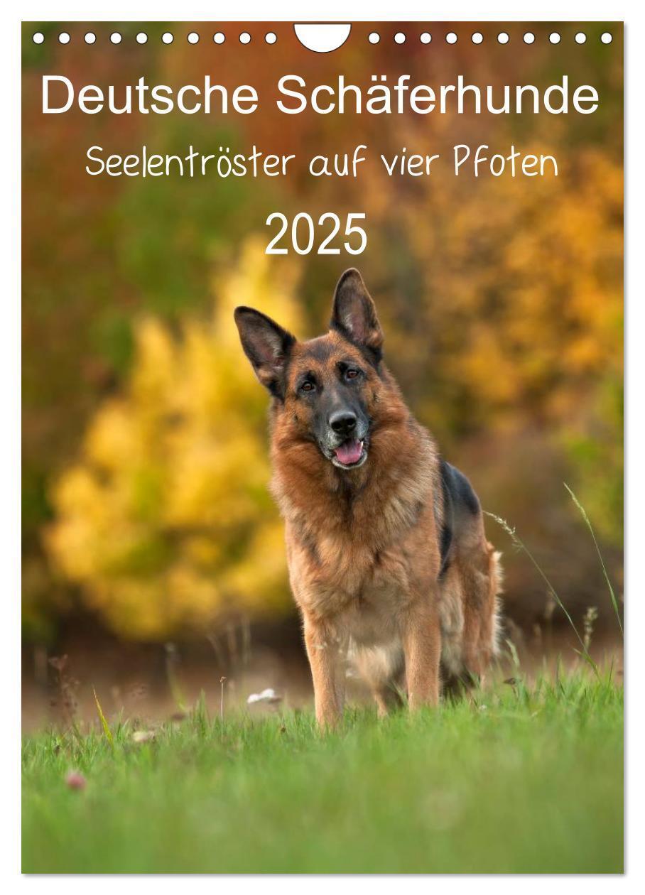 Cover: 9783457026731 | Deutsche Schäferhunde - Seelentröster auf vier Pfoten (Wandkalender...