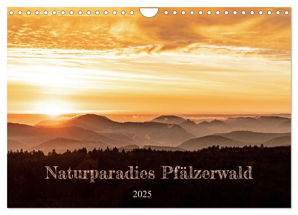 Cover: 9783383940200 | Naturparadies Pfälzerwald (Wandkalender 2025 DIN A4 quer), CALVENDO...