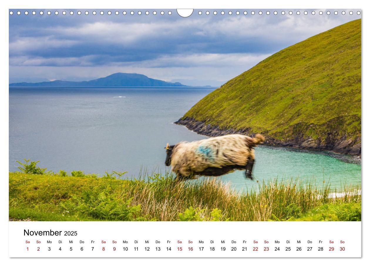 Bild: 9783435200115 | Irland, Land des Lichts (Wandkalender 2025 DIN A3 quer), CALVENDO...