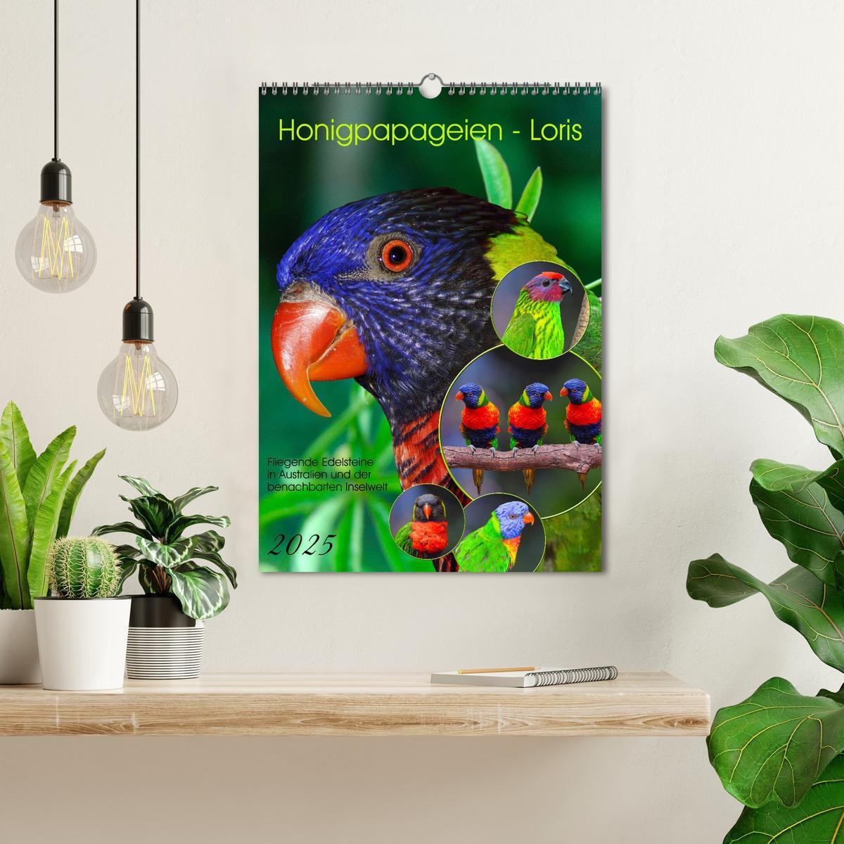 Bild: 9783435853458 | Honigpapageien - Loris (Wandkalender 2025 DIN A3 hoch), CALVENDO...