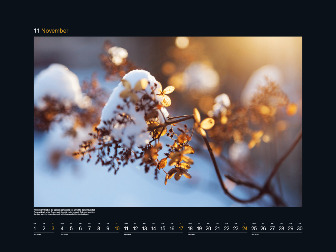 Bild: 9783965912731 | Gold - KUNTH Wandkalender 2024 | Kalender | 14 S. | Deutsch | 2024