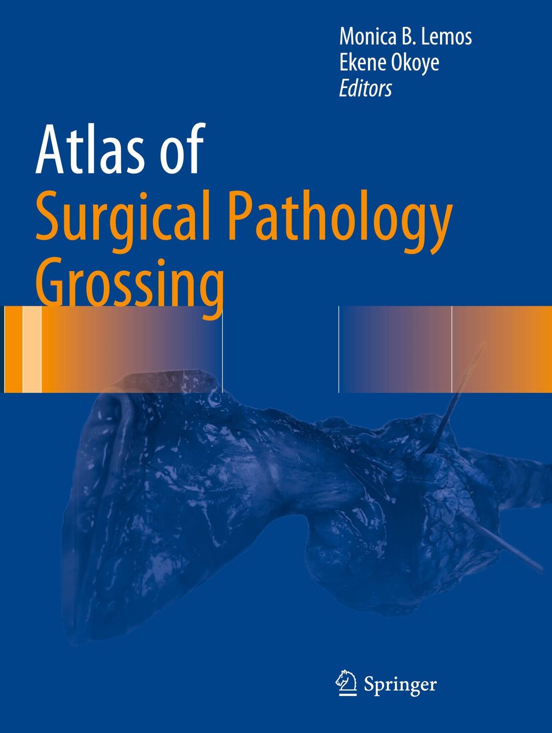 Cover: 9783030208417 | Atlas of Surgical Pathology Grossing | Ekene Okoye (u. a.) | Buch | xv