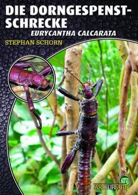 Cover: 9783866591844 | Die Dorngespenstschrecke | Eurycantha calcarata | Stephan Schorn