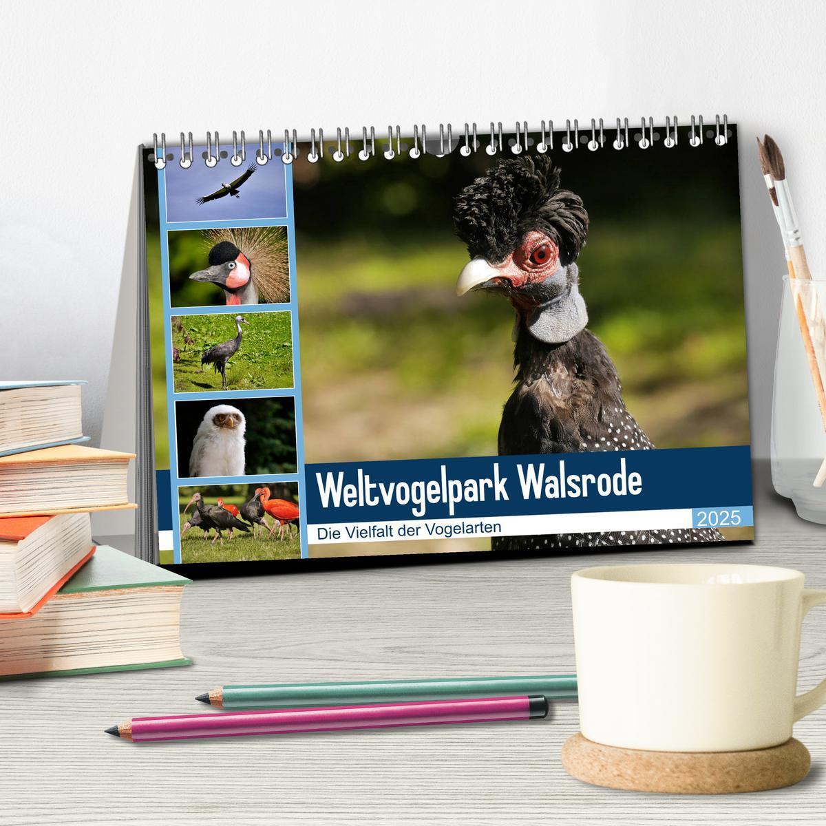 Bild: 9783435361144 | Weltvogelpark Walsrode - Die Vielfalt der Vogelarten (Tischkalender...