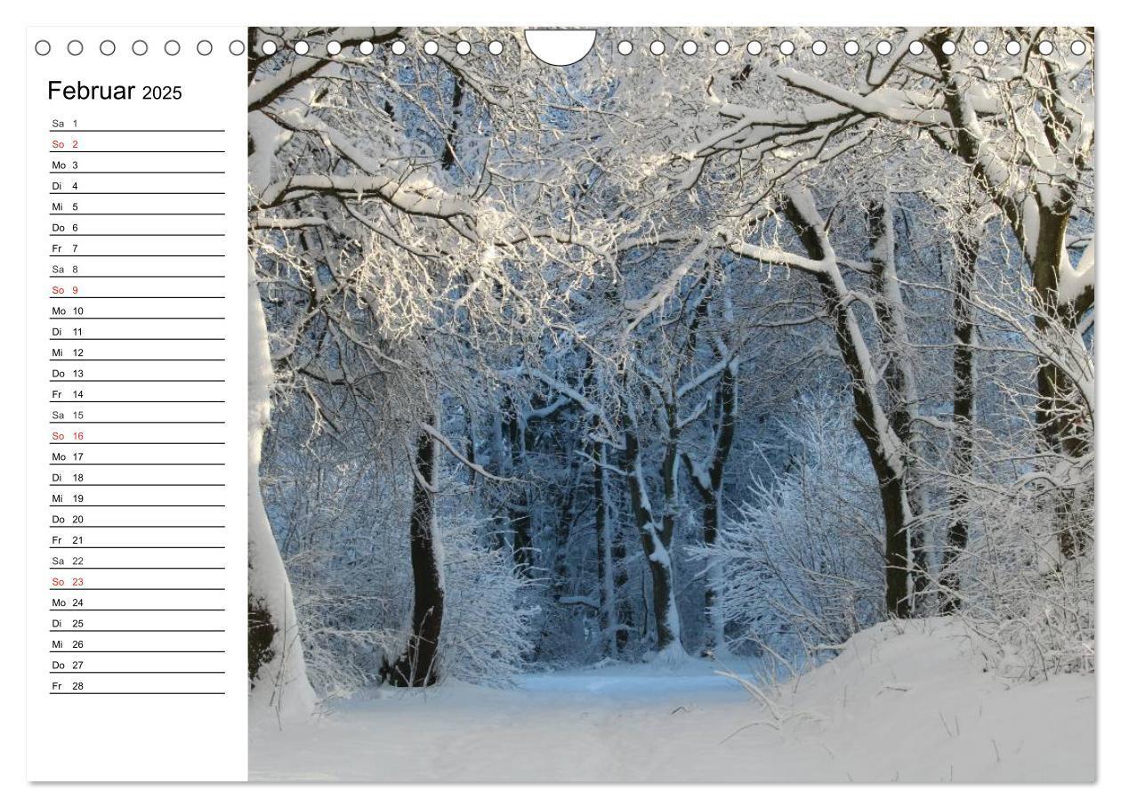 Bild: 9783435525546 | Wintermärchen. Landschaften im Schnee (Wandkalender 2025 DIN A4...