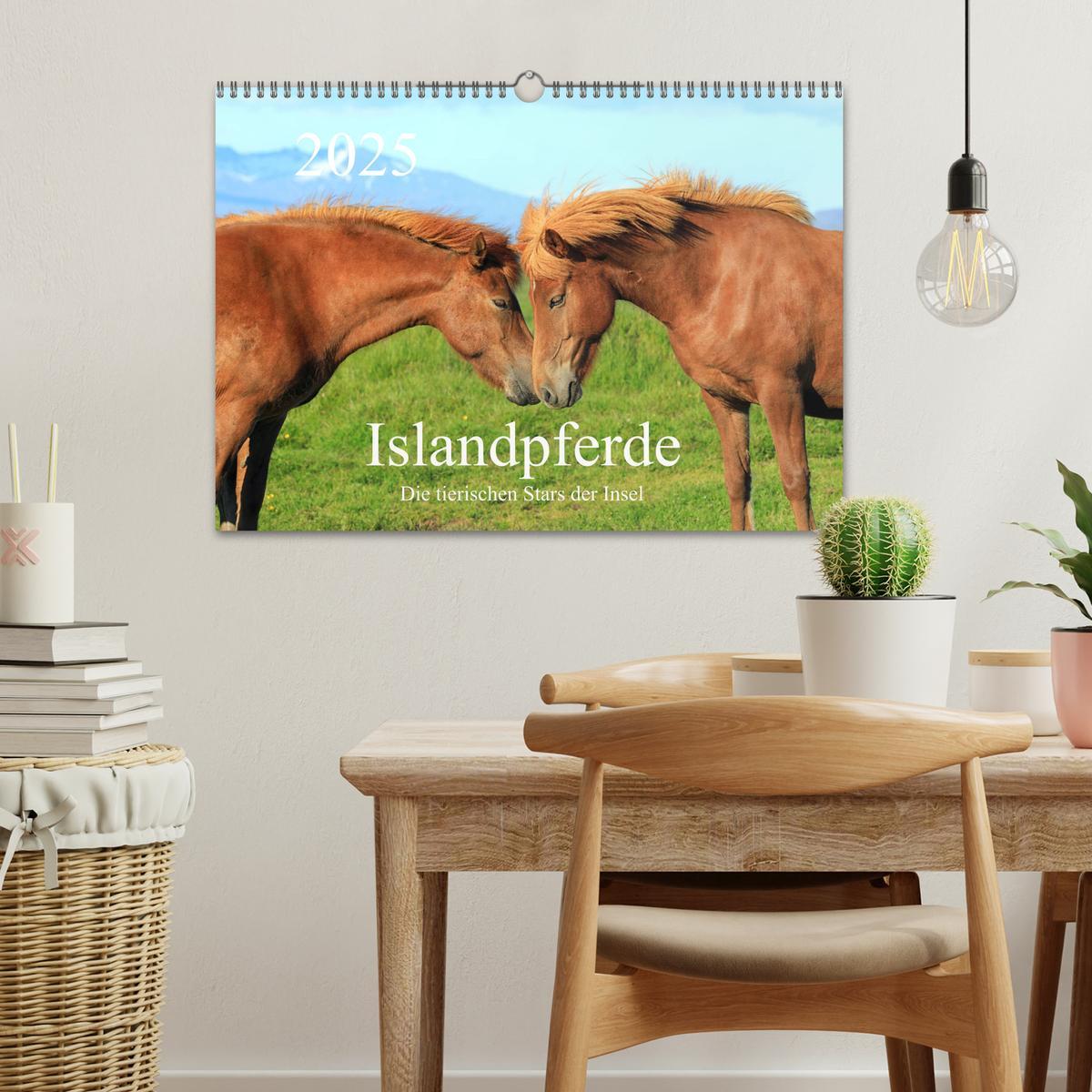 Bild: 9783435253449 | Islandpferde - Die tierischen Stars der Insel (Wandkalender 2025...