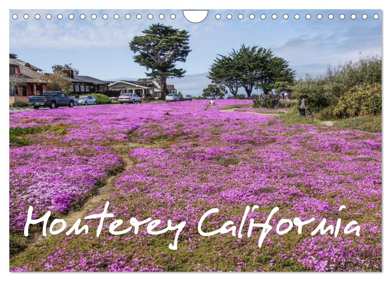 Cover: 9783435824915 | Monterey California (Wandkalender 2025 DIN A4 quer), CALVENDO...