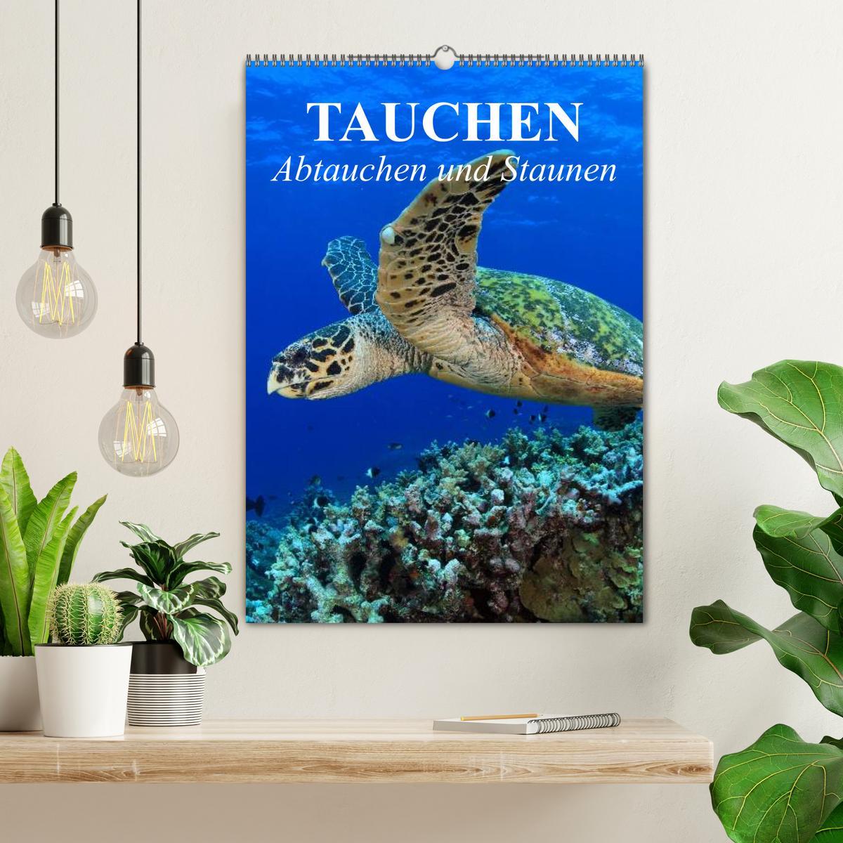 Bild: 9783457054154 | Tauchen - Abtauchen und Staunen (Wandkalender 2025 DIN A2 hoch),...