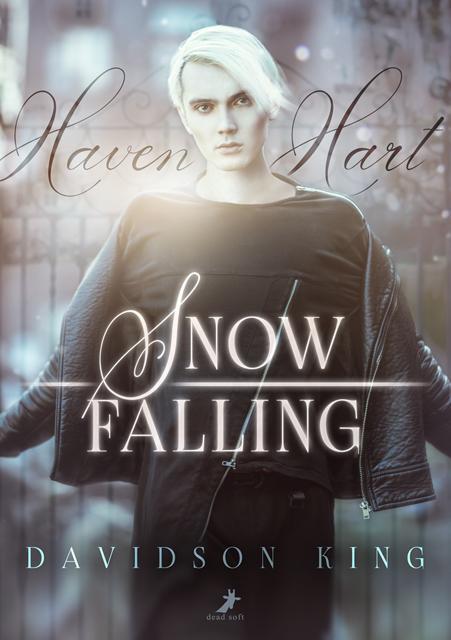 Cover: 9783960895343 | Snow Falling | Haven Heart 1 | Davidson King | Taschenbuch | 276 S.