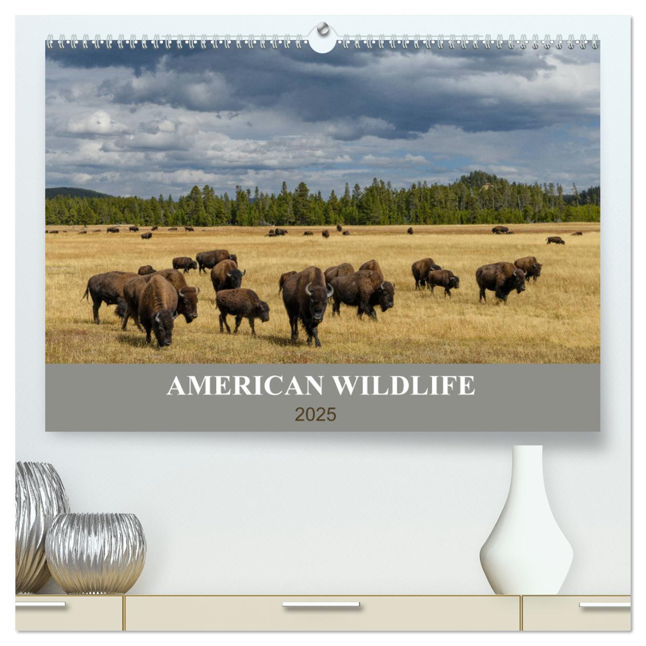 Cover: 9783435100040 | American Wildlife (hochwertiger Premium Wandkalender 2025 DIN A2...