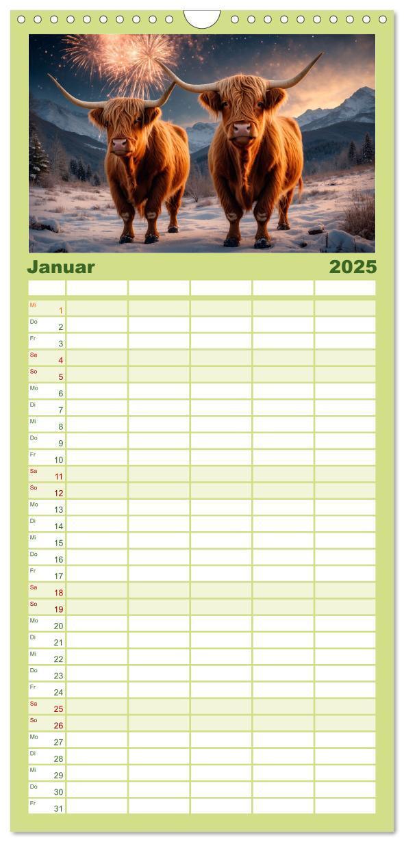 Bild: 9783457135563 | Familienplaner 2025 - Highland Kühe mit 5 Spalten (Wandkalender, 21...